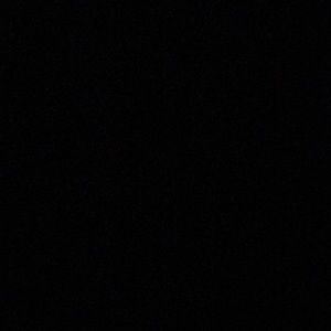 Meet your Posher, Stella